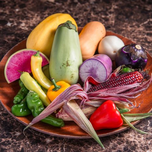 見て楽しい、食べておいしい！旬の野菜をたっぷり使用