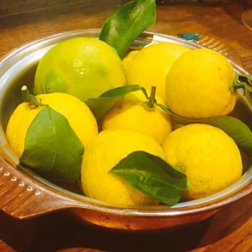 レモンハイに新鮮なレモンを使用!種類も5種類と豊富に