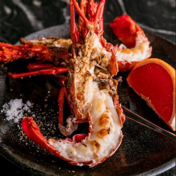 [Live spiny lobster] Whole live spiny lobster grilled on an iron plate