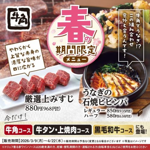 春の期間限定メニュー!