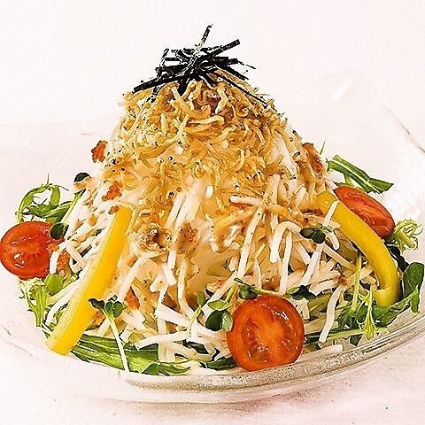 十勝ラーメンサラダ