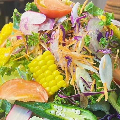 新年派對【標準套餐】