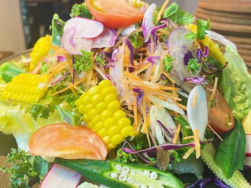 망신년회【클래식 요리 코스】