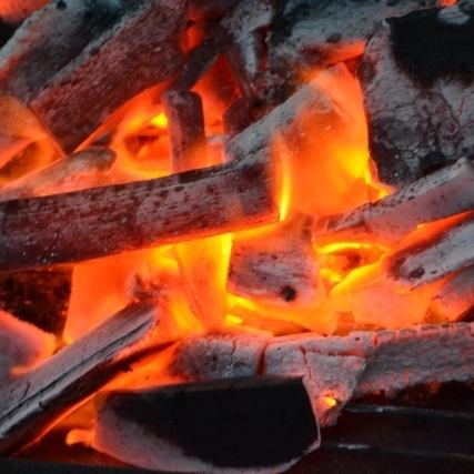 “燃燒的木炭”限制和品嚐食物的味道