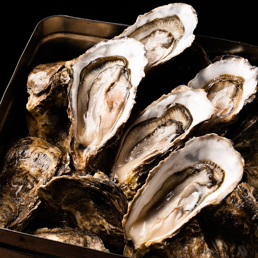 Enjoy delicious fresh fish including Akkeshi oysters directly from Hokkaido fishermen♪