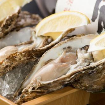 [2H all-you-can-drink included] 12 dishes including raw oysters, crab, and salmon roe rice ≪Value course 6,000 yen (tax included)≫