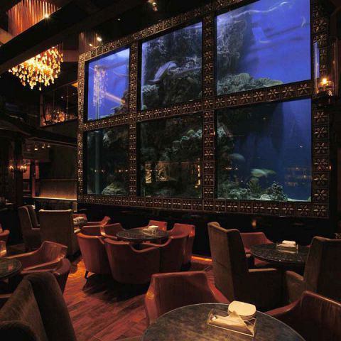 Aqua Restaurant Bar Luxis ラグシス 公式
