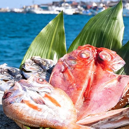 「干物屋ふじま」の干物