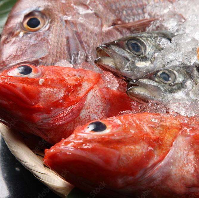 鮮度が違う！寿司も魚介料理も楽しめる海鮮好きのための一軒