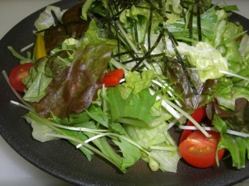 잡어 샐러드 / 일본식 샐러드 / 시저 샐러드 / 쓰촨 샐러드