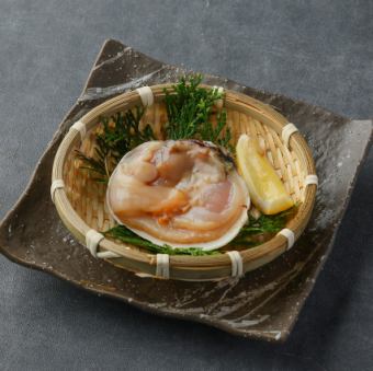 大あさり(1ヶ)