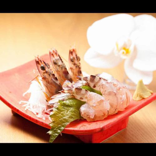 車海老の活き造り(三尾) 【12月から翌年3月初旬の冬期限定】