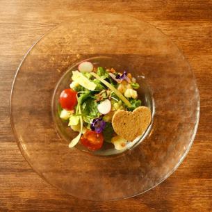 Lavagna salad with 10 vegetables