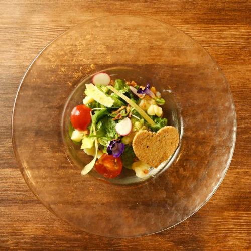 拉瓦尼亚沙拉（含 10 种蔬菜）