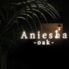 Shisha Cafe & Bar Aniesha oak
