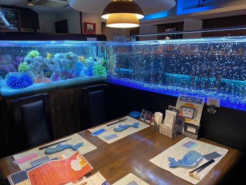 お魚の見えるおすすめ席☆