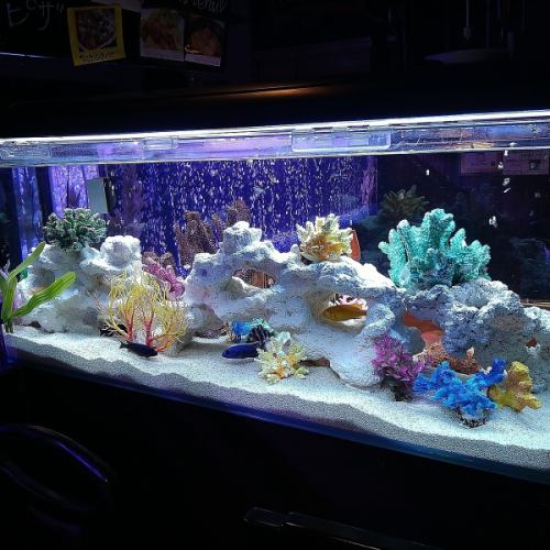 女子会3時間5000円(税込)!2名様より受付中♪