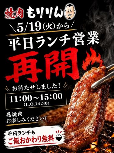5/19(火)から待望の平日ランチが遂にスタート！もちろんランチタイムは毎日ご飯がおかわり無料です！