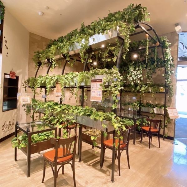 <<While shopping♪>> There are 3 counter seats for 1 person and 3 tables for 2 people in the eat-in corner.Take a break from work or have something sweet while shopping.It is a healing space surrounded by greenery where you can feel nature.Please feel free to drop by.