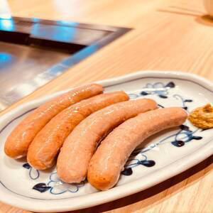維也納香腸/西班牙辣香腸粗磨粉