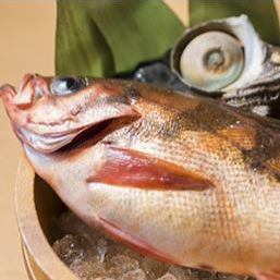 新鮮な素材を最大限に活かす、丁寧な店内調理！