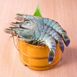 <単品>大海老　1尾