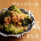 西蘭花和櫻花蝦 Peperoncino