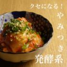 大白菜泡菜