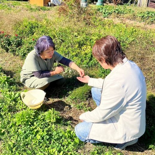 【こだわり野菜】無農薬で育てたものを使用