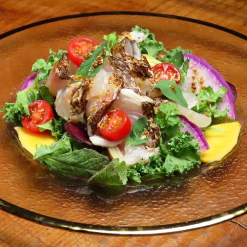 【自慢のお野菜を味わうなら】愛媛県産真鯛の炙りカルパッチョ サラダ仕立て マスタードビネガーソース