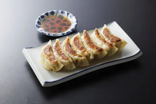 [79]自家製手作り餃子