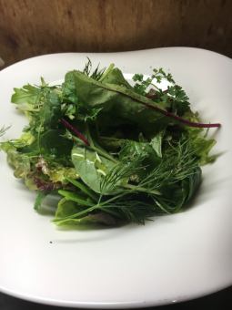 使用時令蔬菜製成的Regalo綠色沙拉