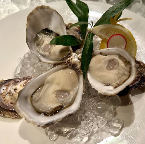 Raw oysters from Hikida Fisheries Cooperative