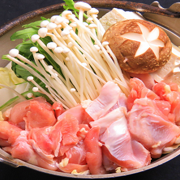 Awaodori Chicken with Mizutaki