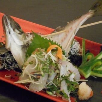 (Live) horse mackerel sashimi
