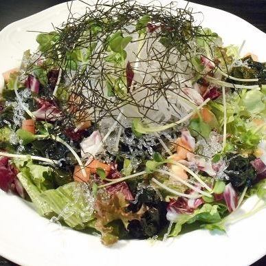 Japanese-style salad with seaweed and radish