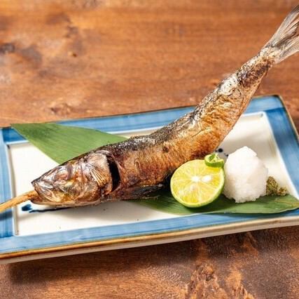 名物　大とろ鰯