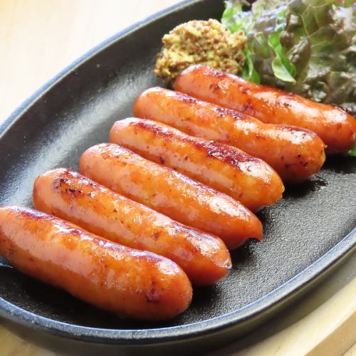 초리 조