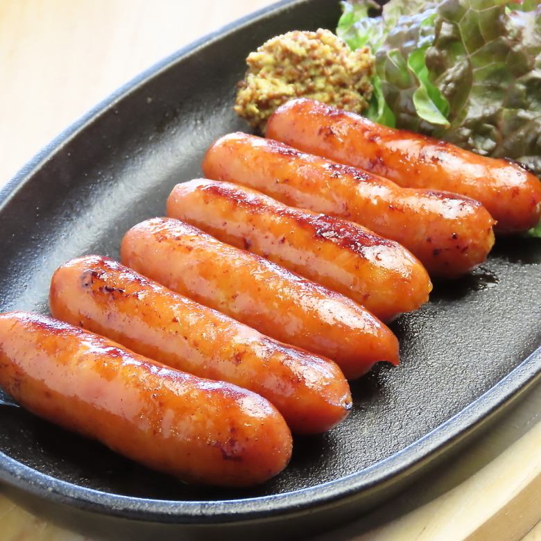 초리 조