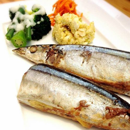 日替わりランチ