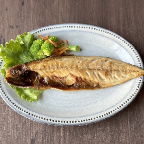 Cultured dried mackerel from Koshida Shoten