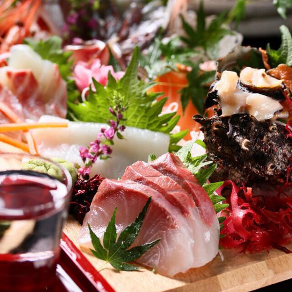 おつまみからお食事まで豊富な創作料理をご用意！今ならクーポンご利用で全品２０％OFF！