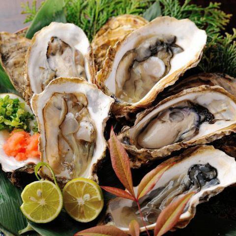 【時令食材十足】限量版銀鱈魚生魚片、石卷直送生蠔、金華青花魚…