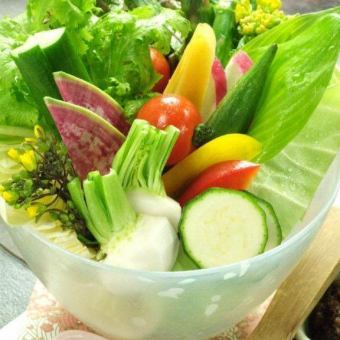秋保有機野菜　盛合せ