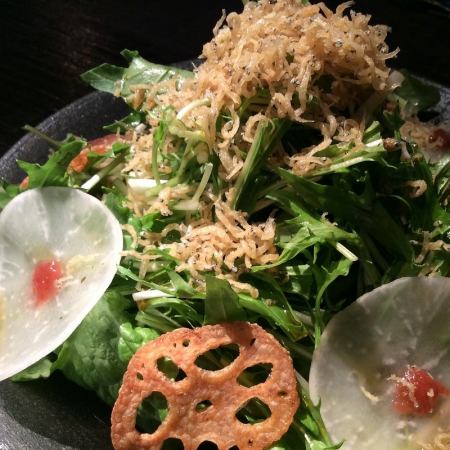 Turnip and fried lotus root jako salad plum flavor