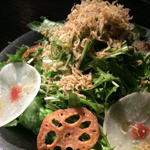 京蕪와 양주 연근 잡어 샐러드 매실 맛