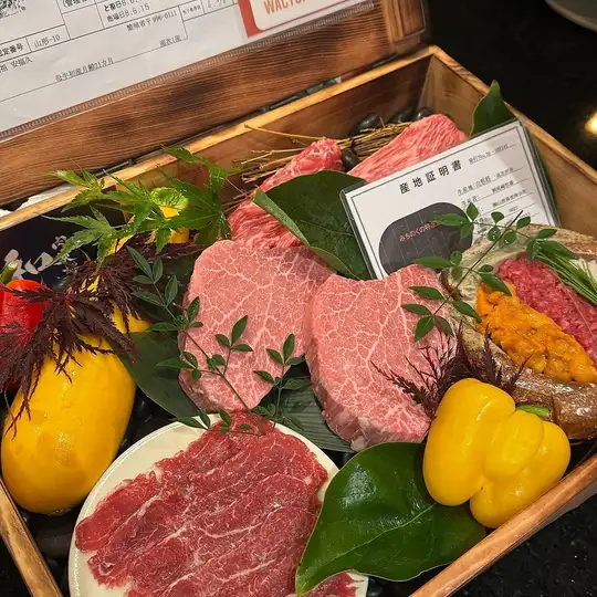 [Rare cuts to finish the meal] Chateaubriand and clay pot rice to finish the meal, Wagyu beef cutlet sandwich, Uni-niro Wagyu beef roll sushi - 9 dishes in total