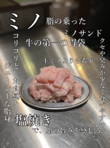 上ミノ