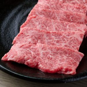 검은 털 일본소 벼룩
