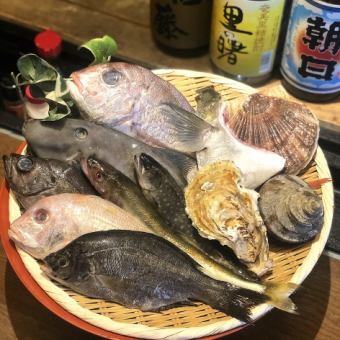 爐端B套餐【魚主菜】3,500日圓【附無限暢飲5,000日圓】